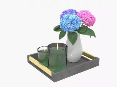 Decorative Set 3D model 5