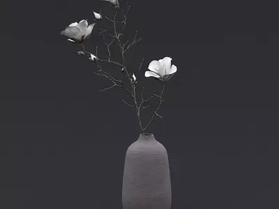 Dry Flowers In Vase I 3D model