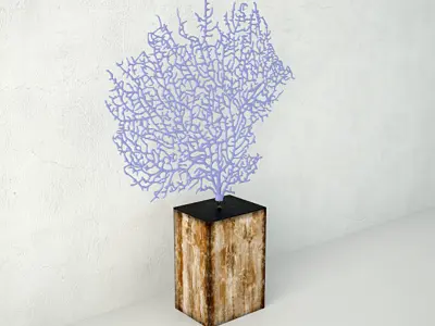 Lavender Exotic Sea Fan 3D model
