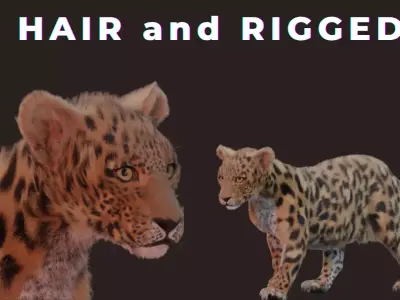 Jaguar leopard puma RIGGED and has FUR 3D model