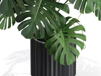 Plants collection 582 3D model