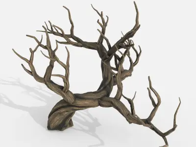 Aquarium Snag V32 3D model