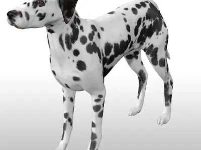 Dalmatian Rig Low-poly 3D model