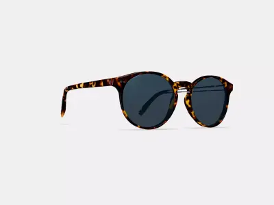 Renton Sunglasses in Black Oak Tortoise 3D model