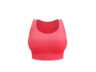 Sport Bra 3D model
