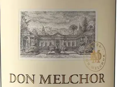 Wine Bottle  3D model