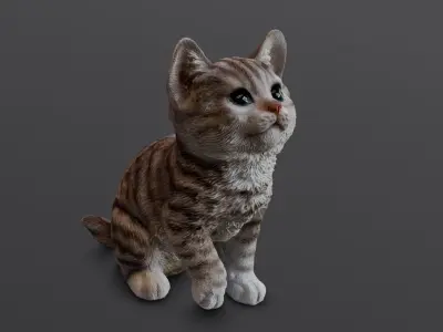 Kitten 3D Model Low-poly 3D model