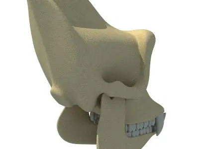 Realistic Gorilla Skull  3D model