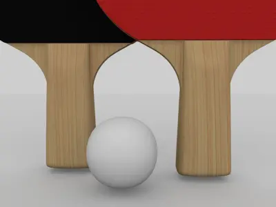 Ping Pong Paddle 3D model