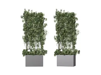 Botanical Planter 2 3D model