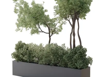 collection Indoor Outdoor plant 139 garden bax metal vase pots 3D model