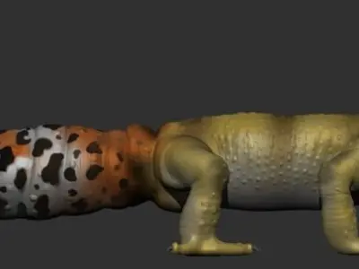 Leopard Gecko 3D model