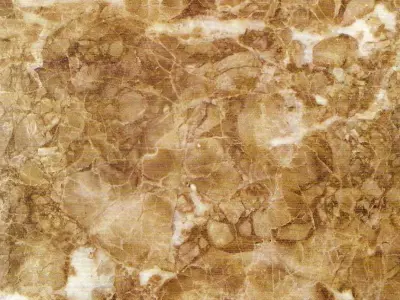 table dining and chairs 3D model