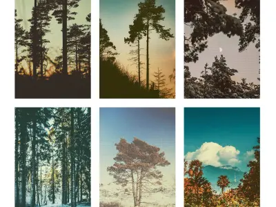 JUNIQE Forest set-02 poster 3D model