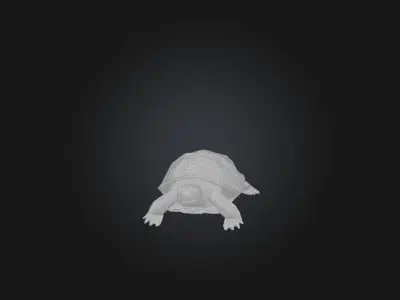 Realistic Injured Turtle Model Low-poly 3D model