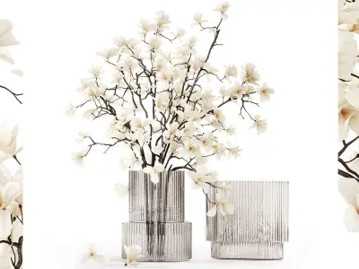 White bouquet of branches of blooming magnolia vase 345 3D model