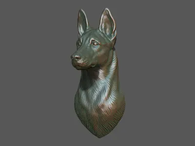 Belgian Shepherd Malinois  with a closed mouth 3D print model