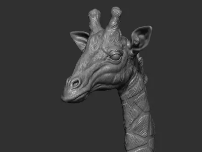 Giraffe head bust 3D print model