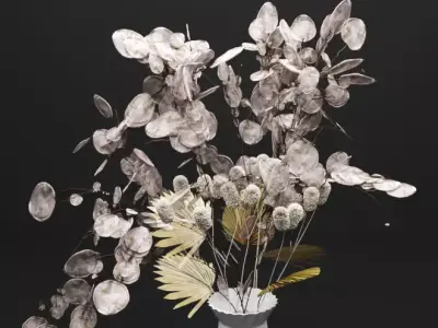 Lunaria Bouquet 3D model