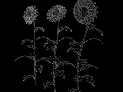 Sunflower Plant Low-poly 3D model