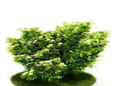 Artificial Green  Bush 3D model