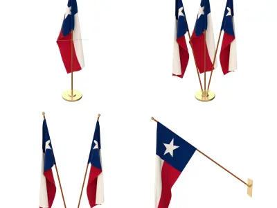 Texas Flag Pack 3D model