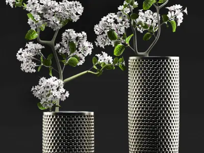 Flower Vase Set 3D model