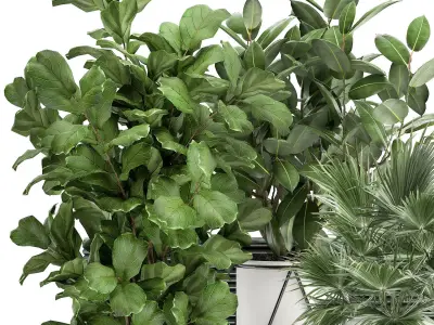 Houseplants in a flowerpot for the interior 935 3D model