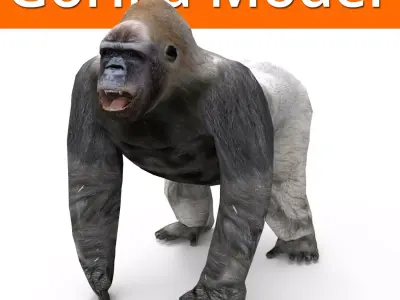 3D Model Gorilla game ready Low-poly 3D model