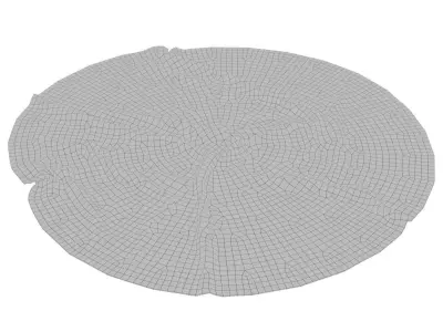Anderson Rug 3D model