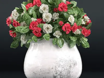 Flower collection 1 flowers 3D model