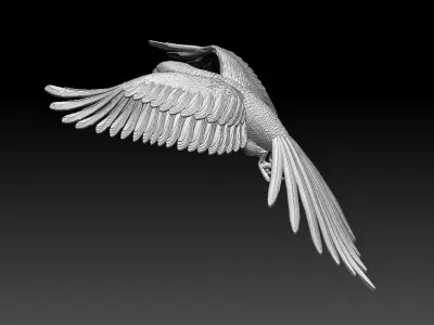 parrot flying in air 3D print model
