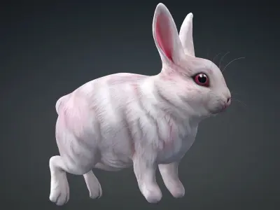 Rabbit-A1 3D model