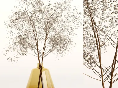 Dry Flowers 002 3D model