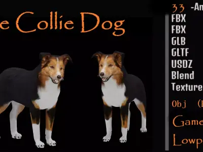 Male Collie Dog Low-poly 3D model
