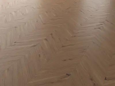 Parquet Oak Vergne Wild Wood set 1 3D model