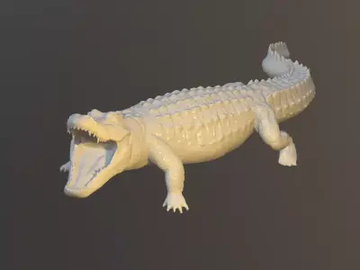 Crocodile entire body 3D Model 3D model