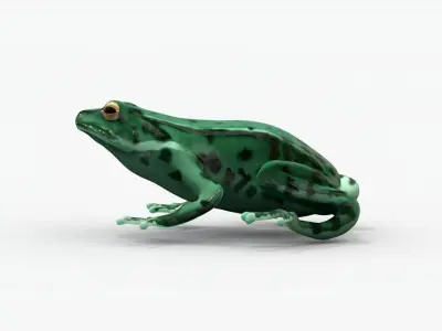 Low poly frog Low-poly 3D model