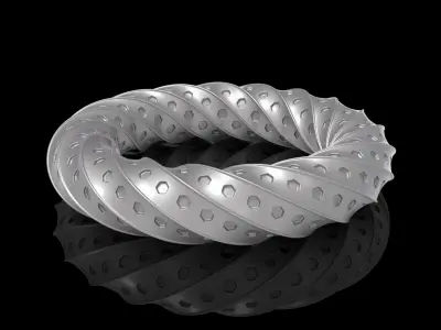 thorusholes spiral ring 3D print model