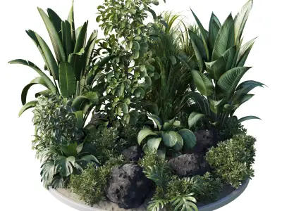 Garden Plants   Outdoor plant Collection 132 Low-poly 3D model