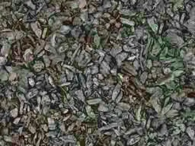 ROADWORKS human eye 3D print model