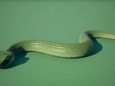 Snake stylized Low-poly 3D model