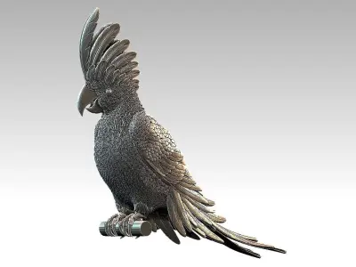 parrot cacadu 3D print model