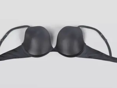 -Bra- 3D model
