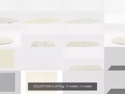 COLLECTION-2 OF Rug - 5 models