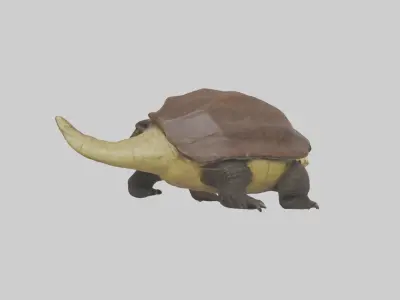 Crocodile Alligator snapping model Low-poly 3D model