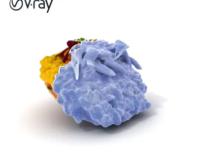 Gourmet Italian Risotto Plate Presentation model pack Low-poly 3D model