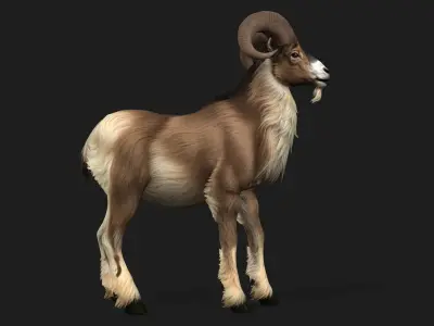 Goat-B1 3D model