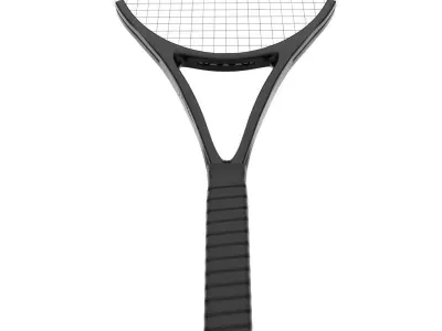 Badminton Racket and Shuttlecock 3D model Low-poly 3D model