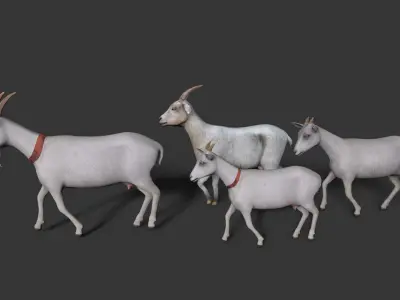 sheep Low-poly 3D model
